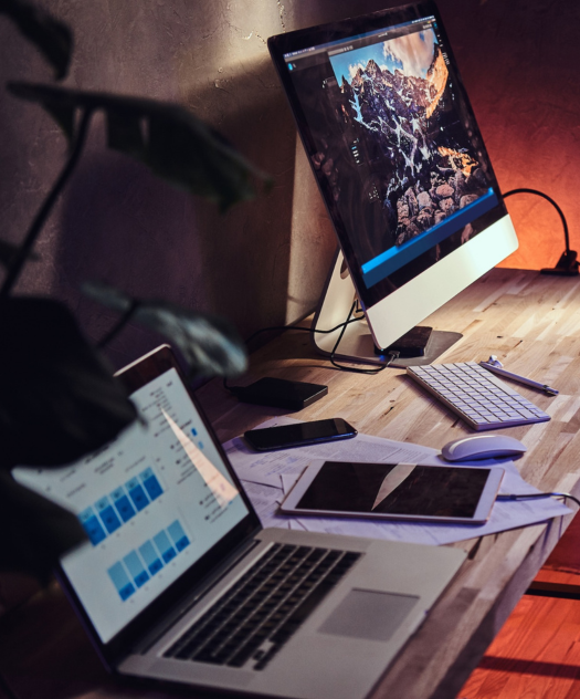 Website Designing